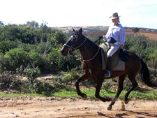 Spain-Southern Spain-Atlantic Coast Ride - Southern Andalusia